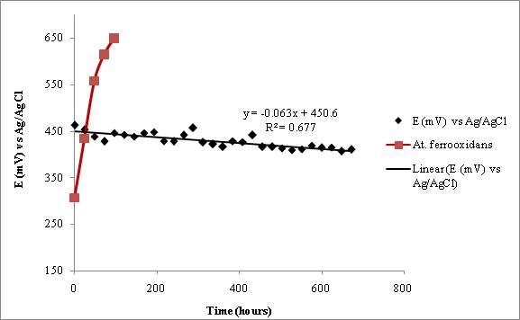 Fig. 3-6-20. E (mV) vs. Ag/AgCl plots for the 10 L reactor vessel at 10 % w/v density of coal to 9K medium and a culture of At. ferrooxidans using IEM substrate.