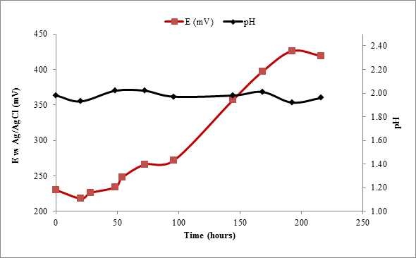 Fig. 3-6-21. pH and E (mV) vs. Ag/AgCl for At. Ferrooxidans in coal culture liquor