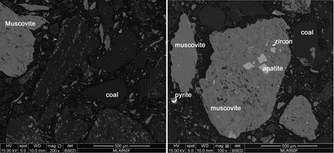 Fig. 3-1-6. -20+10mm 입단의 SEM 사진