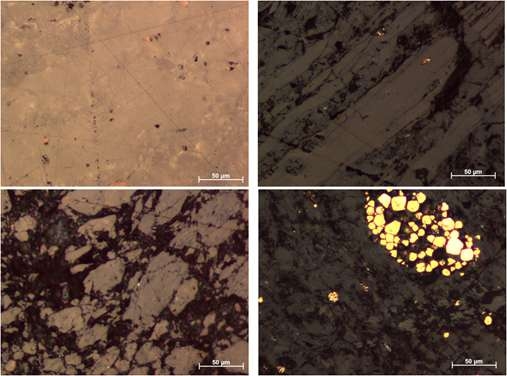 Fig. 3-1-8. -5+1 mm 입단 시료의 광학현미경 관찰