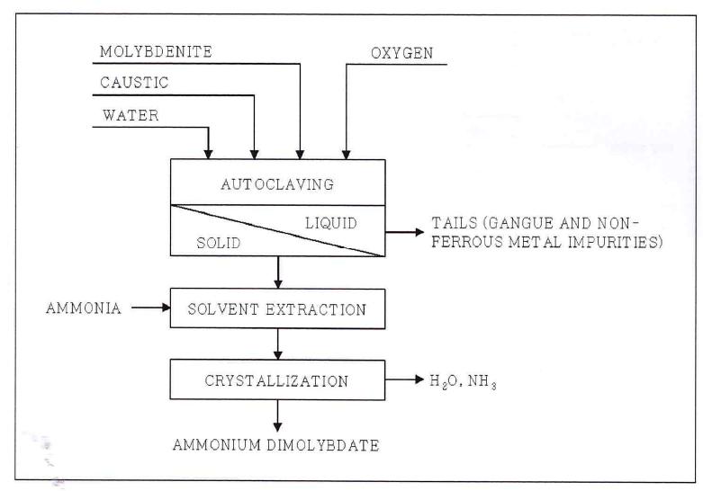 Schematic of an aqueous autoclave oxidation process with caustic for molybdenum recovery