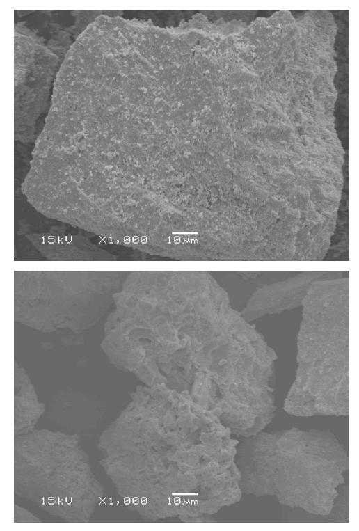 SEM photos of Sr concentrate according to leaching times: (upper) 0 min, (down) 180 min.