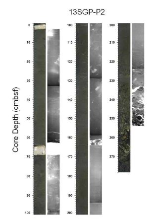 Fig. 4.17 Photographs and X-radiographs of core 13SGP-P2