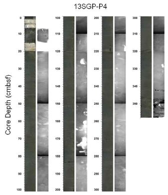 Fig. 4.19 Photographs and X-radiographs of core 13SGP-P4