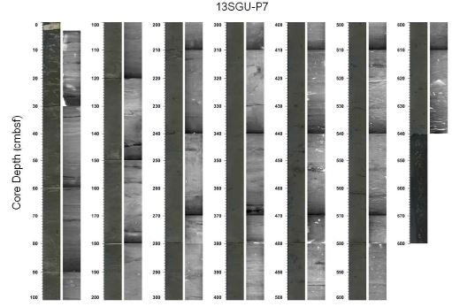 Fig. 4.22 Photographs and X-radiographs of core 13SGU-P7