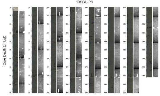 Fig. 4.23 Photographs and X-radiographs of core 13SGU-P8
