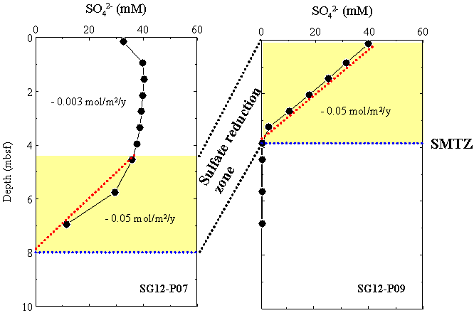 Fig. 4.25 Sulfate profile in pore water from this study area