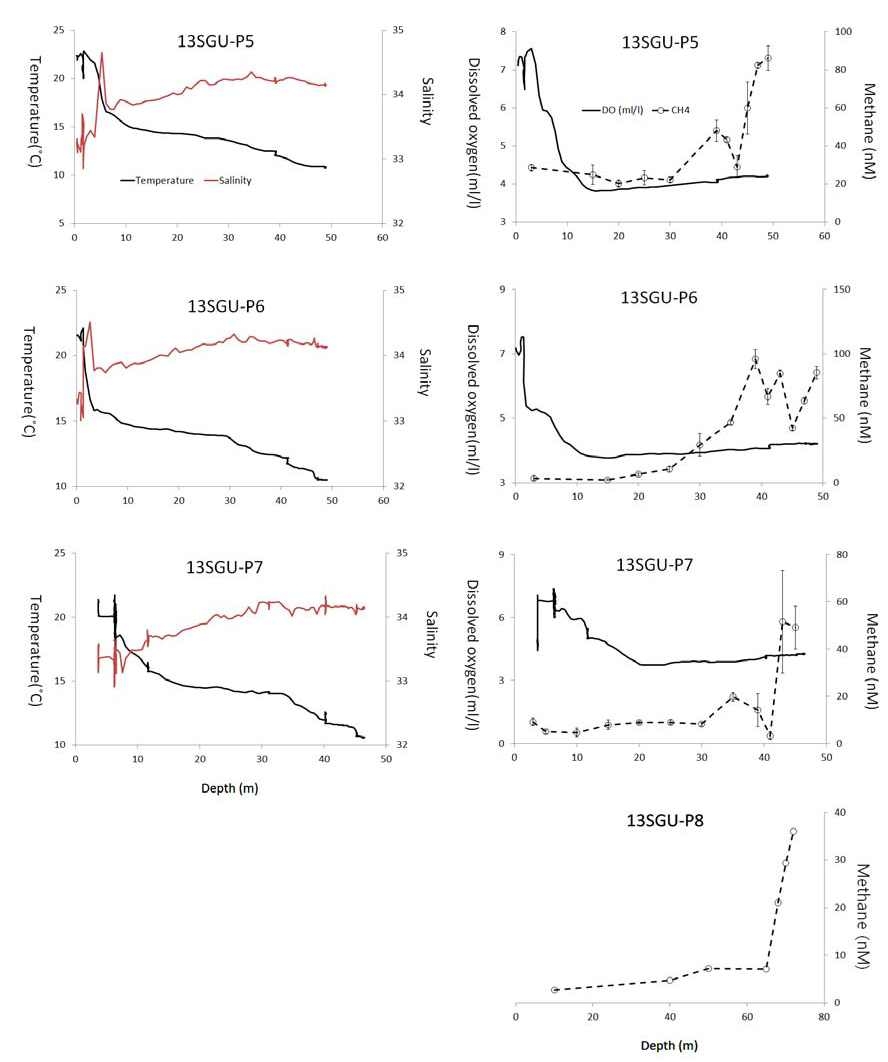 Fig. 4.30 Variations of temperature, salinity, dissolved methane, and dissolved oxygen with water depth from the off Ulsan (sites 13SGU-P5, P6, P7 and P8)