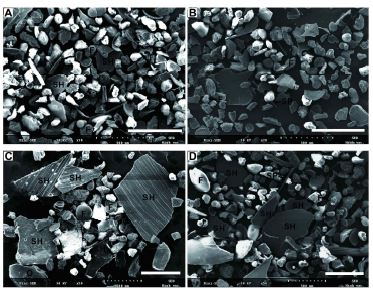 Fig. 5.13 SEM images of core sediments from the Top unit and Middle unit