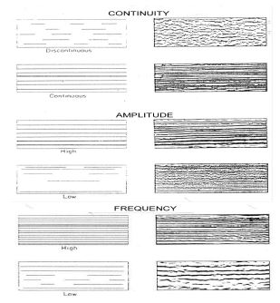 Fig. 3.9 Reflection attributes used in seismic facies analysis