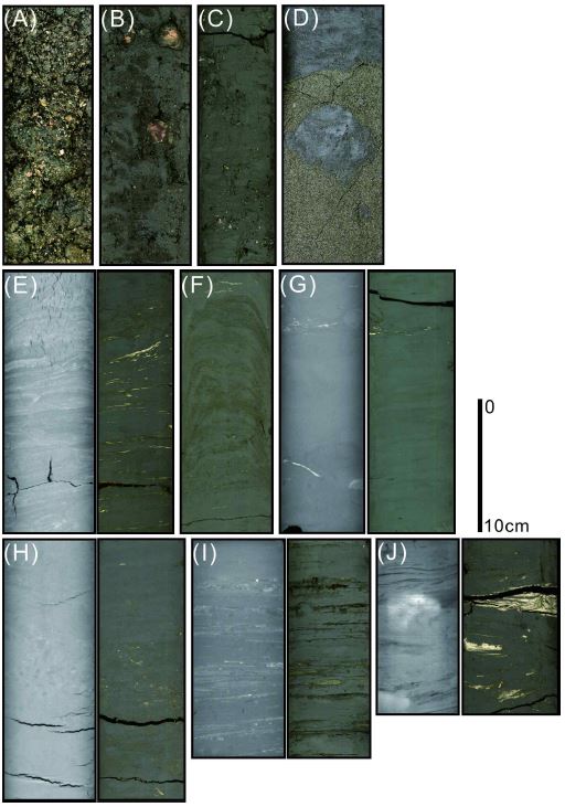 Fig. 3.58 Representative sedimentary facies observed in HMB-101 and piston cores