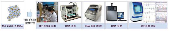 DNA 형태 분석 방법