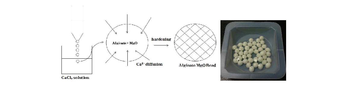 alginate + MgO bead 생성