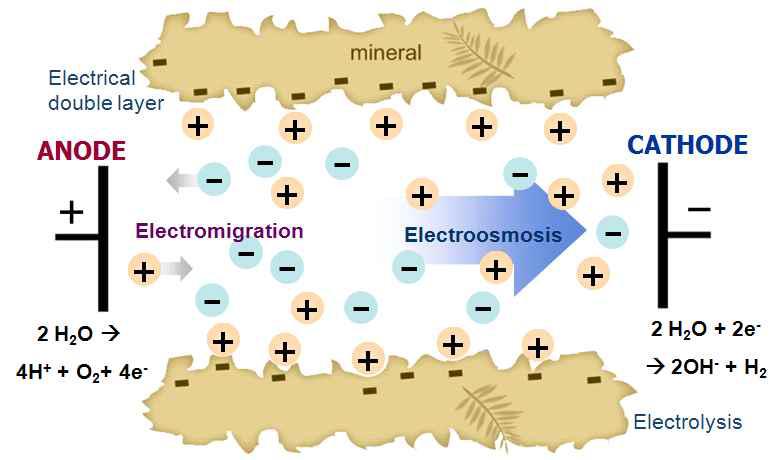 Schematic diagram of electrokinetic phenomena in soil.