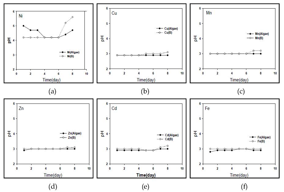 조류를 이용한 중금속 제거시 pH 변화