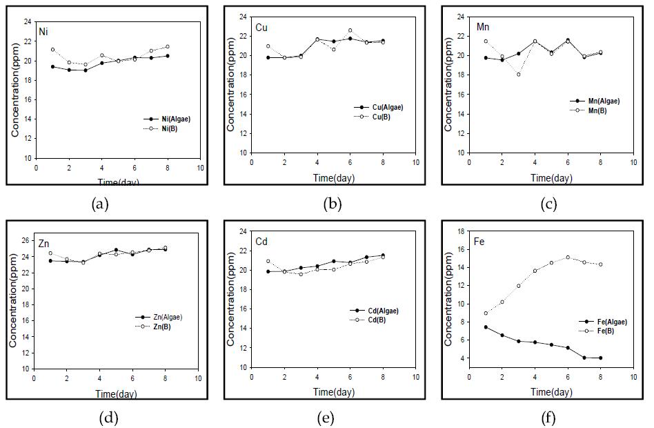 조류를 이용한 중금속 제거시 농도 변화