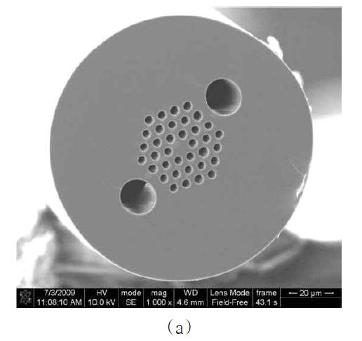 PS-PCF의 단면사진