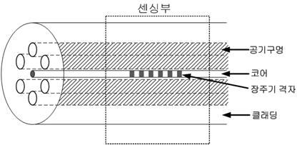 센서용 포토닉크리스탈광섬유(Holey 광섬유) 를 이용한 바이오센서