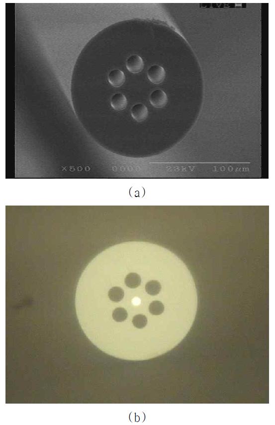 굴절률 측정 센서에 사용된 holey 광섬유 (a) SEM 사진, (b) 광학현미경 사진