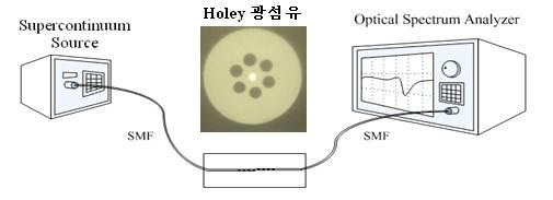 Holey 광섬유 장주기 격자 기반의 바이오센서의 실험 구성도