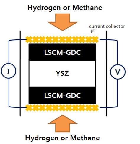 Half cell performance measurement set-up