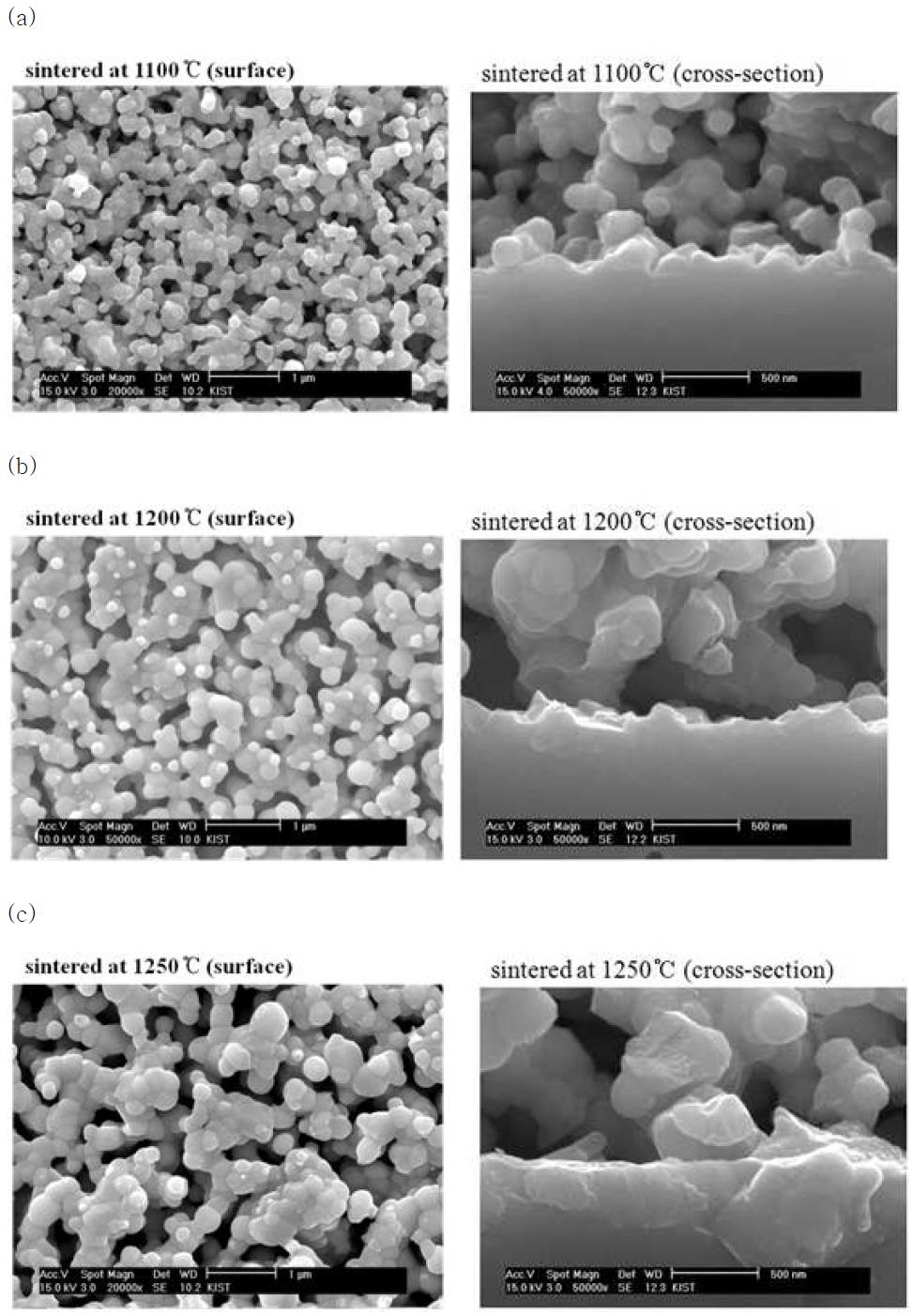 SEM images after half-cell tests (a) sintered at 1100oC, (b) 1200oC and (c) 1250oC.