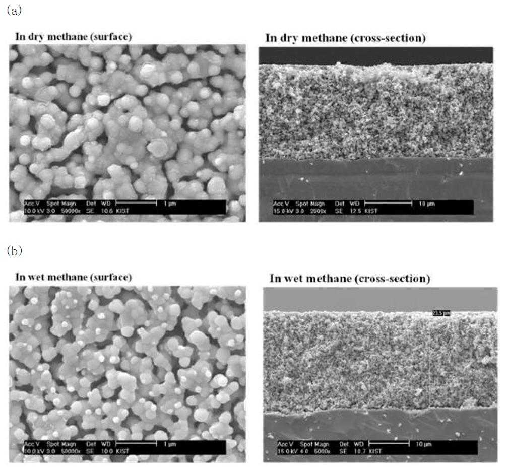 SEM images of LSCM-GDC composite (a) after exposure to dry methane and (b) after exposure to wet methane.