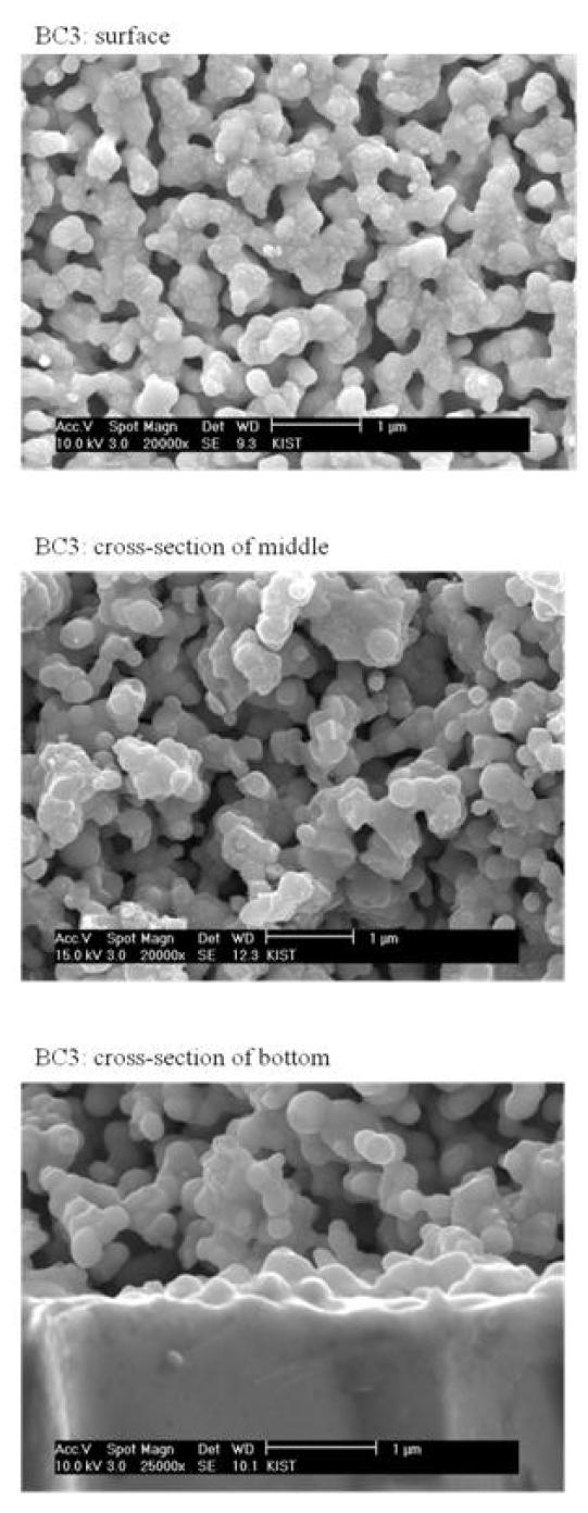 SEM images of LSCM-GDC with ruthenium (BC3) after cell test.