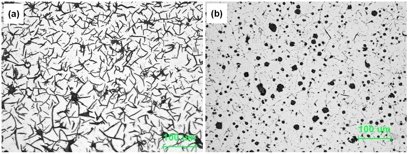 고알루미늄(Fe-25Al) 내열주철의 주조상태 미세조직 (a) 편상흑연주철, (b) 구상흑연주철
