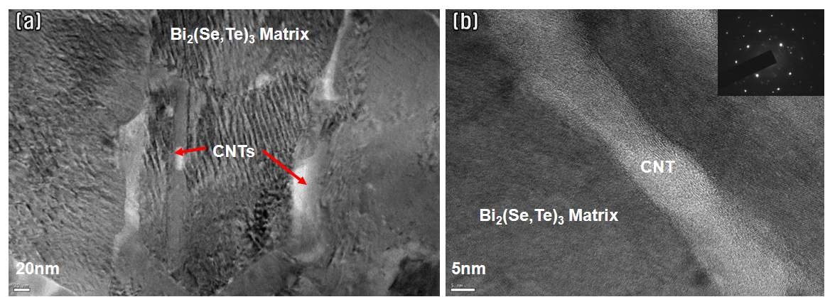 탄소나노튜브가 Bi2Se0.3Te2.7 기지내에 분산된 투과전자현미경 사진