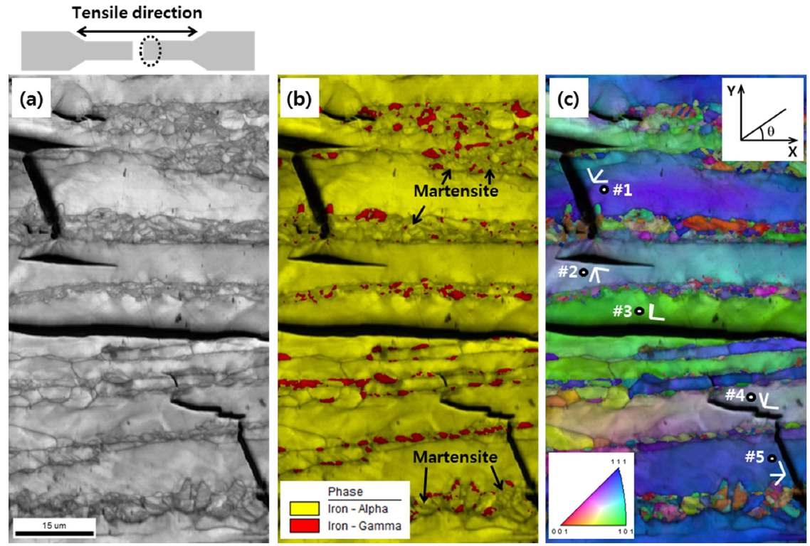 시편 1M의 파단면에 대한 EBSD 분석 결과 (a) image quality map, (b) phase map, (c) inverse pole figure map