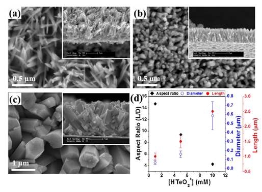 Morphologies of the Te nanostructures synthesized by the galvanic displacement reaction of the Ni films (bath #4) in the electrolyte with different concentration of HTeO2+ions:1mM (a), 5mM (b), and 10mM ⓒ (insets show the cross-sectional views of the synthesized Te nanostructures), and the plot of the aspect ratio, diameter and length of the Te nanostructures (d).