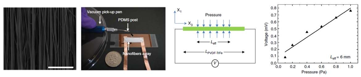 Piezoelectric 특성을 지닌 PVDF 나노섬유 기반의 pressure 센서의 전자현미경 이미지 및 특성