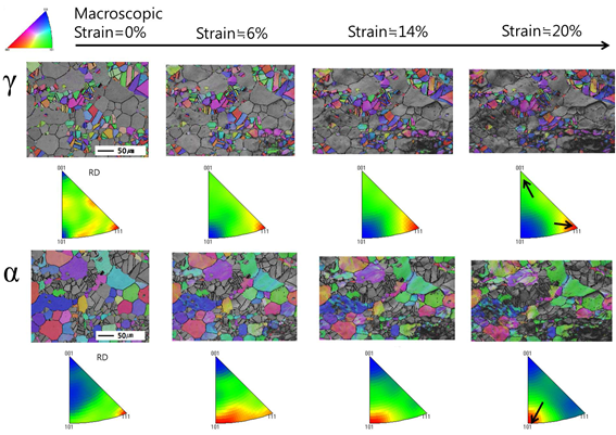 그림 C-4. in-situ 1축 인장 변형에 따른 상 별 인장방향 orientation map