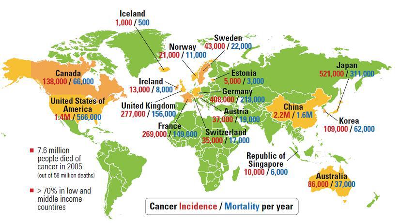 세계 암 발생 및 사망자 현황