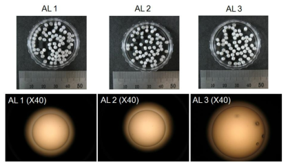 칼슘이온을 이용한 이온가교법에 의한 제조된 알지네이트 코팅제의 사진