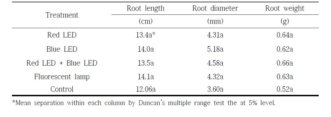 Growth characteristics of underground parts of 1-year-ginseng in different light-conditions.