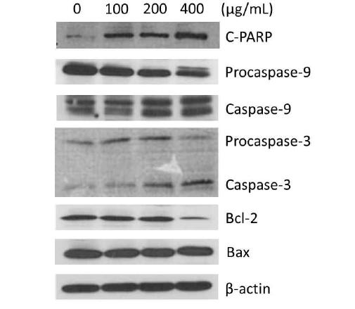 Supercritical CO extract from palsak induces apoptotic cell death in breast2 cancer stem cells.