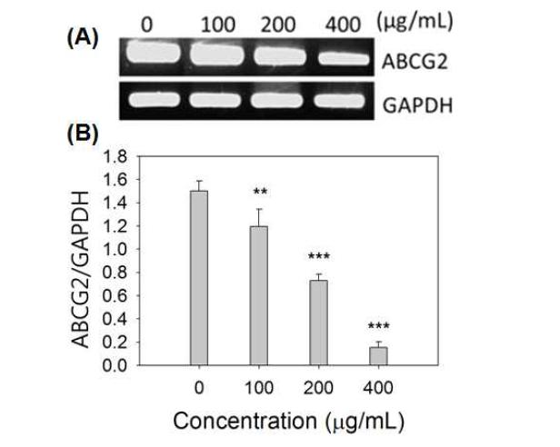 Supercritical CO extract from palsak down regulate multi-drug resistance gene2 ABCG2 in breast cancer stem cells.