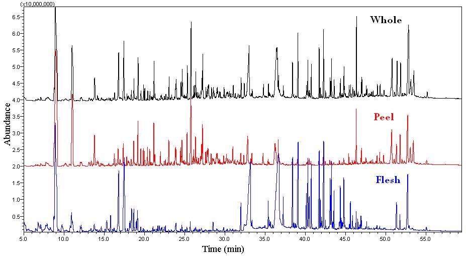 GC-MS chromatogram of supercritical extract of Y:Yagam varieties from Jeju,Korea.
