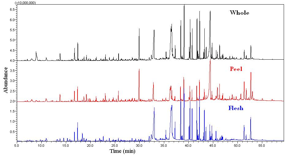 GC-MS chromatogram of supercritical extract of Palsak fruit from Jeju Korea.