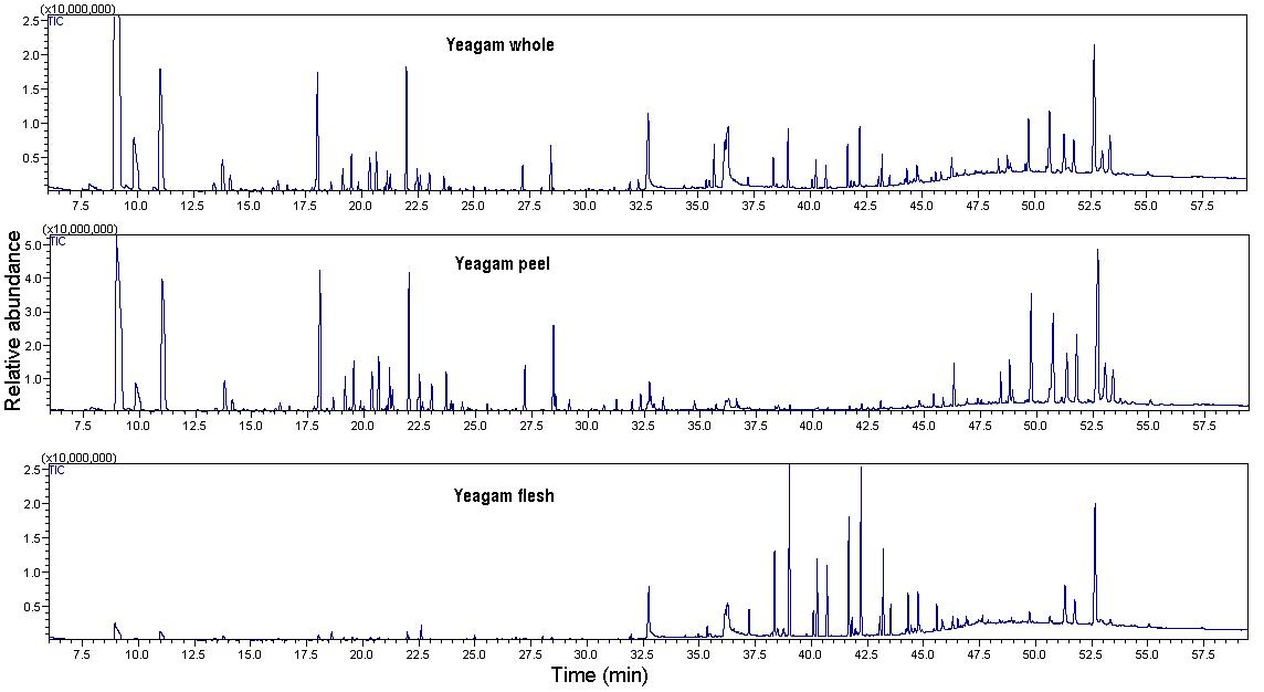 GC-MS chromatogram of supercritical extract of immature Yeagam varieties from Jeju, Korea.