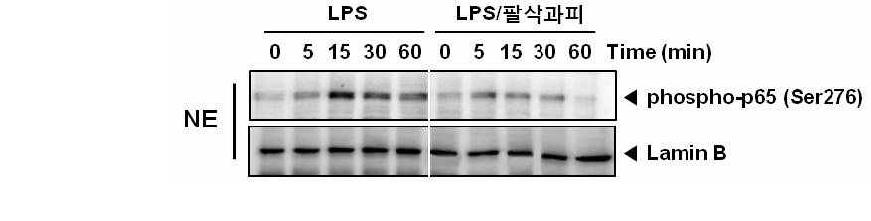 Suppression of LPS‐induced NF-κB activity by fraction from Citrus hassaku pericarp in RAW 264.7 macrophages.