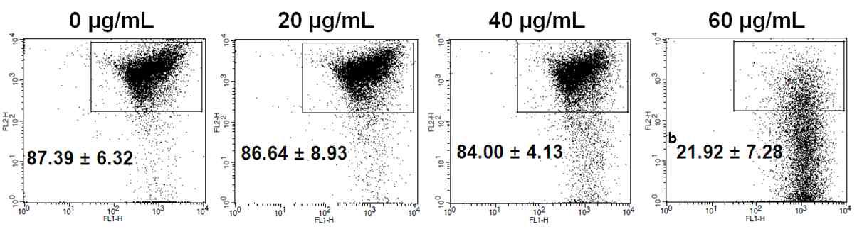 Effects of DPEO on mitochondria membrane potential.