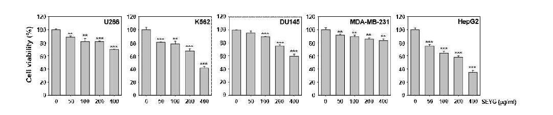 U266, K562, DU145, MDA-MB-231, and HepG2 cells were incubated at 37 ℃ with various indicated concentrations of SEYG for 24 h, and the viable cells were assayed using the MTT reagent.