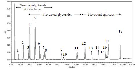 표준 플라보노이드 성분의 HPLC 분석 그래프