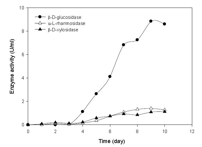 붉은덕다리버섯의 균사체액체 배양기간에 따른 배당체 가수분해효소 (glycosidases)의 활성 비교