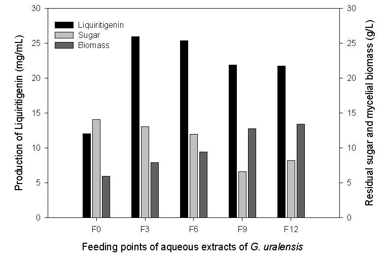 붉은덕다리버섯의 전체 배양기간 중 감초 추출물의 접종 시기에 따른 비배당체 생산량 비교