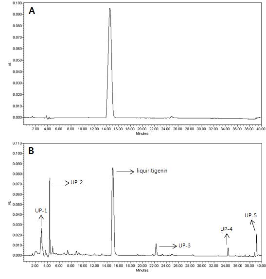 silica gel TLC plate상에서 회수된 부분정제 시료의 크로마토그램(A: 표준물질 크로마토그램, B: 부분정제 크로마토그램, UP:알 수 없는 크로마토그램)