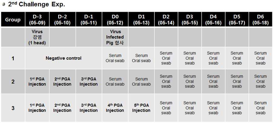 폴리감마글루탐산의 구제역바이러스 challenge 실험 schedule